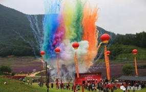 岗海娱乐,打造多元化娱乐生态，引领潮流风尚