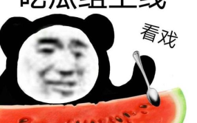 反婊吃瓜网,一场关于道德与娱乐的较量