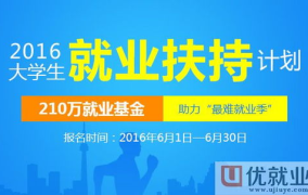 大学生就业在线网官网,助力学子职场起航，探索就业新篇章